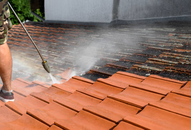 Best House Pressure Washing  in Covington, OH